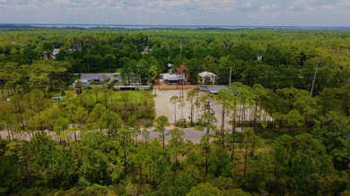 Located just minutes from the beaches of 30A and all the shops - photo 9