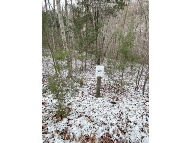 Lake Cumberland Building Lot - photo 5