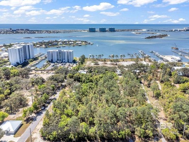 (private lake, pond, coastal) Acreage For Sale in Orange Beach Alabama