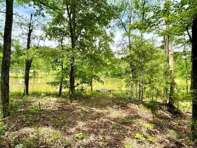 This is an opportunity to purchase a beautiful Charleston style - photo 28