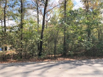 Smith Lake - Blue Water Pointe - Waterfront Lot - Lake Lot For Sale in Jasper, Alabama