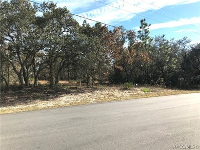 Premium home site in Cypress Village at Sugarmill Woods. Lot 17 - photo 6