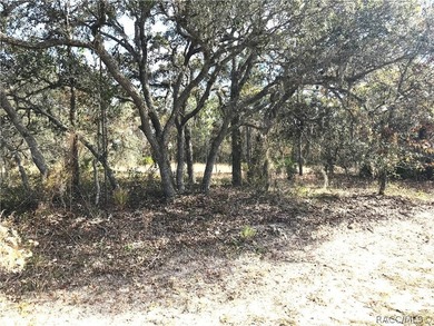 Premium home site in Cypress Village at Sugarmill Woods. Lot 17 - photo 8