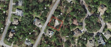 Premium home site in Cypress Village at Sugarmill Woods. Lot 17 - photo 9