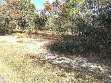 Premium home site in Cypress Village at Sugarmill Woods. Lot 17 - photo 10