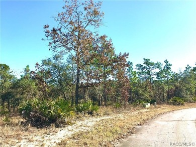 Premium home site in Oak Village at Sugarmill Woods. Lot 16 - photo 5