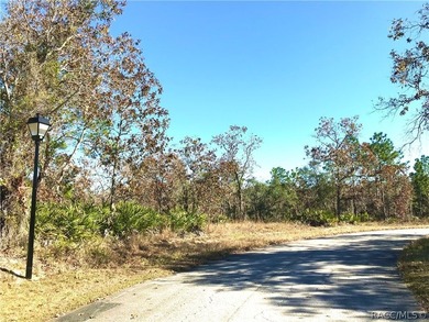 Premium home site in Oak Village at Sugarmill Woods. Lot 16 - photo 6