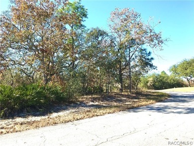 Premium home site in Oak Village at Sugarmill Woods. Lot 16 - photo 7