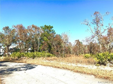 Premium home site in Oak Village at Sugarmill Woods. Lot 16 - photo 8