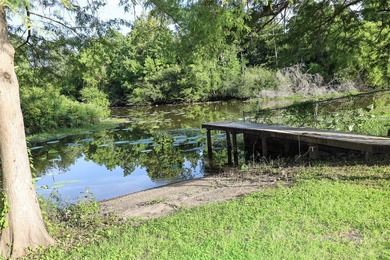 LAKE FRONT ON TOLEDO BEND!!! Welcome to your private piece of - photo 33