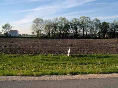 Seller willing to hold land contract for qualified Buyer. 2.68 - photo 2
