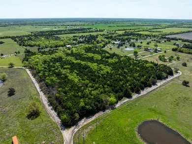 (private lake, pond, creek) Acreage For Sale in Wolfe City Texas