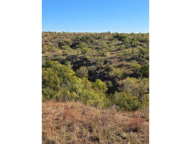 (private lake, pond, creek) Acreage For Sale in Mangum Oklahoma