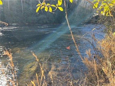 Spectacular 85+/- acre riverfront tract on the Chattahoochee - photo 2