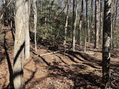 Spectacular 85+/- acre riverfront tract on the Chattahoochee - photo 3