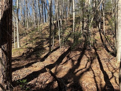 Spectacular 85+/- acre riverfront tract on the Chattahoochee - photo 4