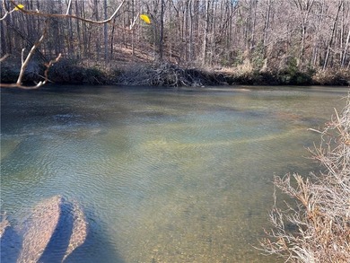 Spectacular 85+/- acre riverfront tract on the Chattahoochee - photo 5