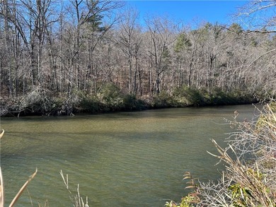 Spectacular 85+/- acre riverfront tract on the Chattahoochee - photo 7
