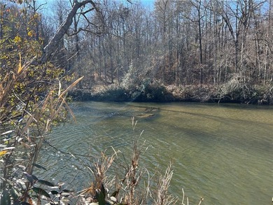 Spectacular 85+/- acre riverfront tract on the Chattahoochee - photo 8