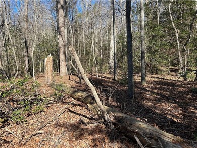 Spectacular 85+/- acre riverfront tract on the Chattahoochee - photo 9