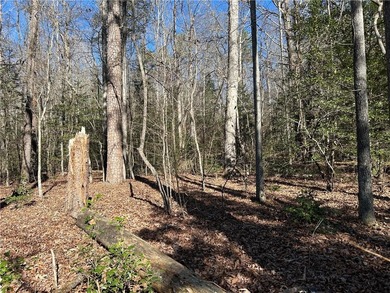 Spectacular 85+/- acre riverfront tract on the Chattahoochee - photo 10