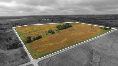 (private lake, pond, creek) Acreage For Sale in Purdin Missouri