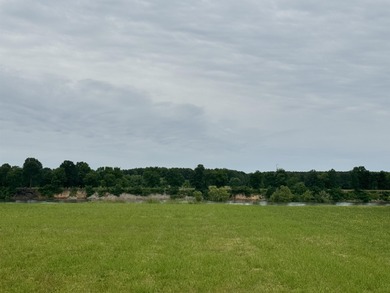 (private lake, pond, creek) Acreage For Sale in Savannah Tennessee