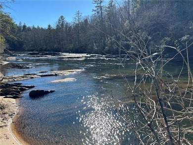 Exceptional 100+/- acre Chattahoochee River property offering - photo 1