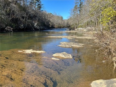 Exceptional 100+/- acre Chattahoochee River property offering - photo 2