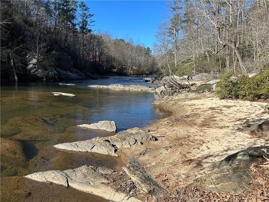 Exceptional 100+/- acre Chattahoochee River property offering - photo 4