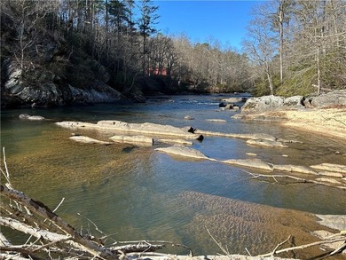 Exceptional 100+/- acre Chattahoochee River property offering - photo 6