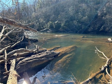 Exceptional 100+/- acre Chattahoochee River property offering - photo 7