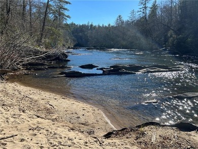 Exceptional 100+/- acre Chattahoochee River property offering - photo 9