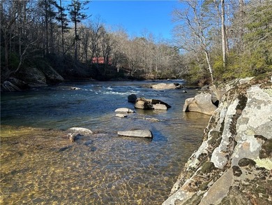 Exceptional 100+/- acre Chattahoochee River property offering - photo 10