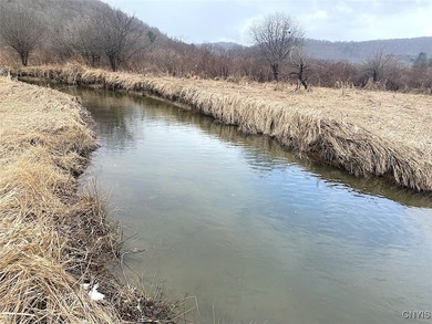 (private lake, pond, coastal) Acreage For Sale in Alma New York