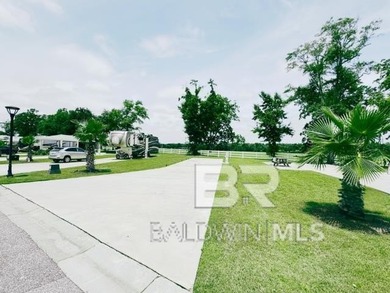 Located in Lake Osprey RV Resort, this RV lot offers access to a - photo 8