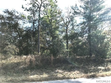 Premium home site in Oak Village at Sugarmill Woods. 117'x120' - photo 3