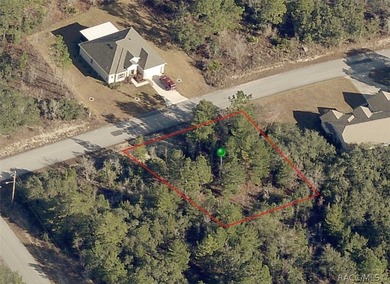 Premium home site in Oak Village at Sugarmill Woods. 117'x120' - photo 4