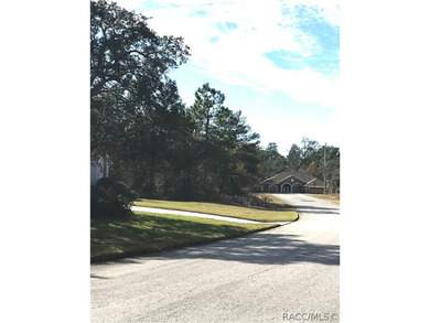 Premium home site in Oak Village at Sugarmill Woods. 117'x120' - photo 6