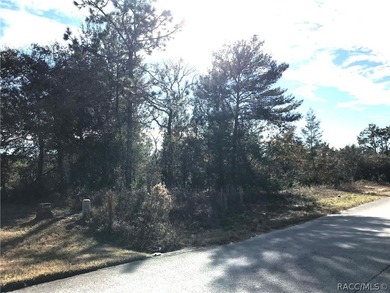 Premium home site in Oak Village at Sugarmill Woods. 117'x120' - photo 8