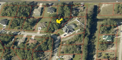 Lehigh Acres Area Lot For Sale in Lehigh Acres Florida
