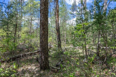 Nicely wooded and buildable lot in Castle Rock Estates - photo 2
