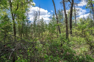 Nicely wooded and buildable lot in Castle Rock Estates - photo 3