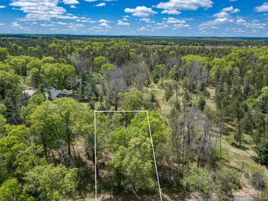Nicely wooded and buildable lot in Castle Rock Estates - photo 4