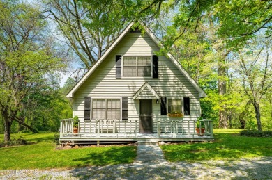 Lake Home For Sale in Andersonville, Tennessee