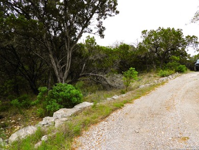 Located just minutes from Medina Lake, this 2.763-acre lot is - photo 11