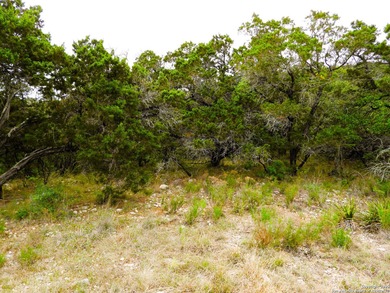 Located just minutes from Medina Lake, this 2.763-acre lot is - photo 12