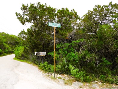 Located just minutes from Medina Lake, this 2.763-acre lot is - photo 13