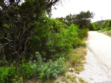 Located just minutes from Medina Lake, this 2.763-acre lot is - photo 14