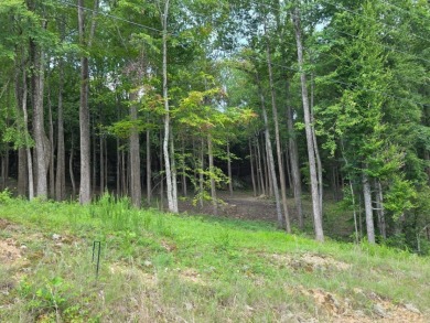 4 Acres to Build Your Dream Home Close to the Lake! - photo 2
